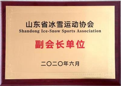 冰雪副会长单位