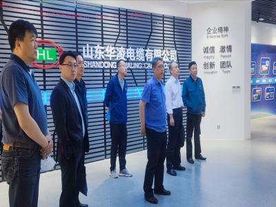 山东电力工程咨询院一行莅临科华赛邦考察