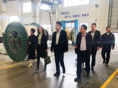 白俄罗斯驻上合组织总代表一行莅临中白新材料产业园||科华赛邦 调研